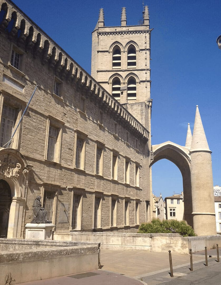 faculte medecine montpellier